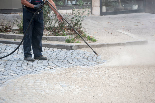 Best Graffiti Removal  in Bellevue, IL